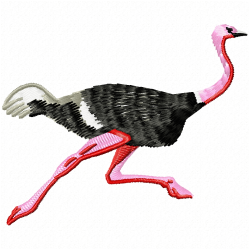 Ostrich Embroidery Design 1